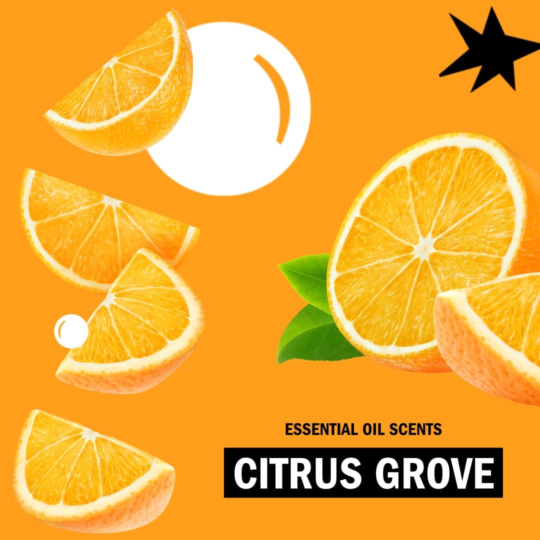 Molly's Suds Original Laundry Detergent Powder | Clean Laundry Detergent Powder for Sensitive Skin | Simple, Effective Ingredients, Stain Fighting | 240 Loads (Citrus Grove)