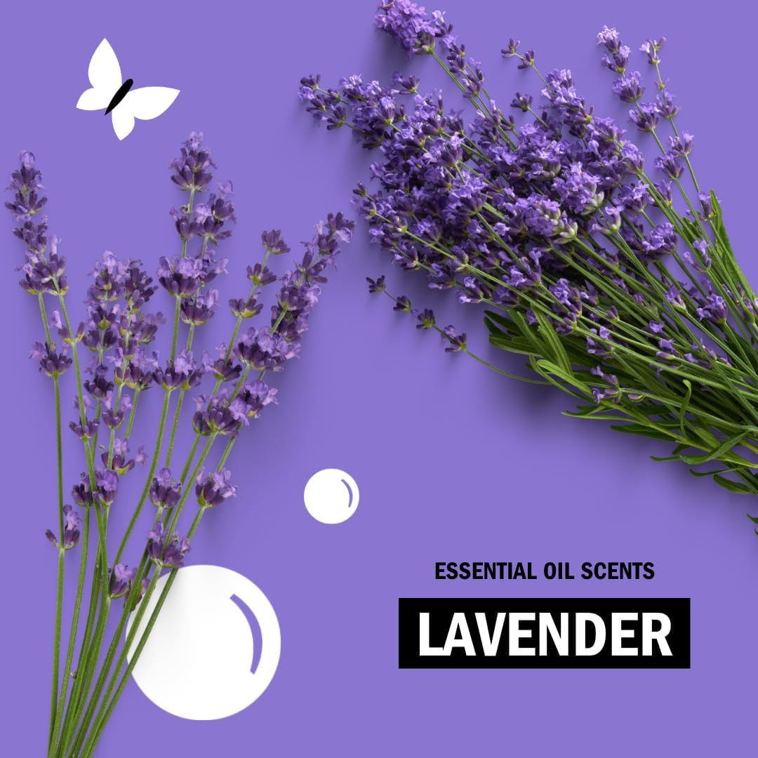 Molly's Suds Original Laundry Detergent Powder | Clean Laundry Detergent Powder for Sensitive Skin | Simple, Effective Ingredients, Stain Fighting | 240 Loads (Lavender)