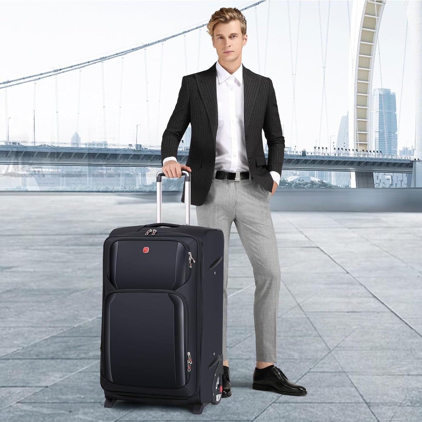 Laduga Softside Expandable Luggage with Large Steel Wheels Checked-Luggage Suicase (Purple, 29-Inch)