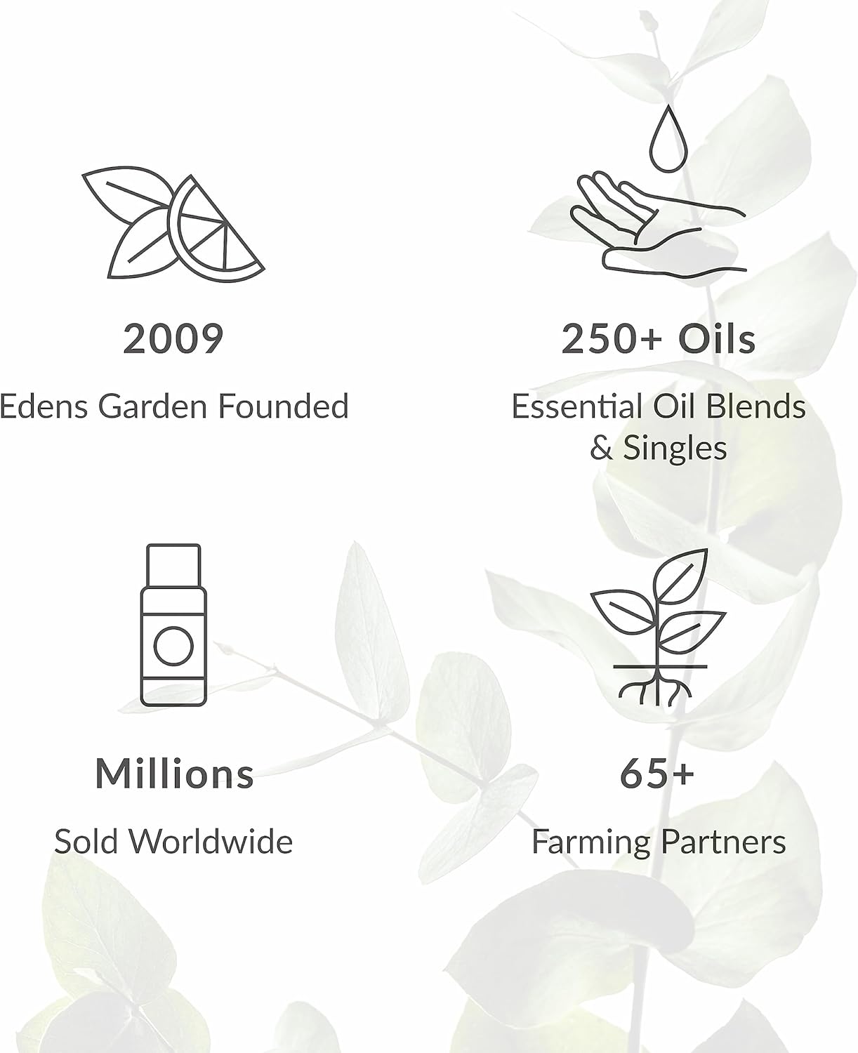 Edens Garden Mio Mist Portable Essential Oil Diffuser – Handheld Mister, Compact & USB Rechargeable Personal Aromatherapy & Essential Oils Accessory for Travel, Office & Car Use - Black