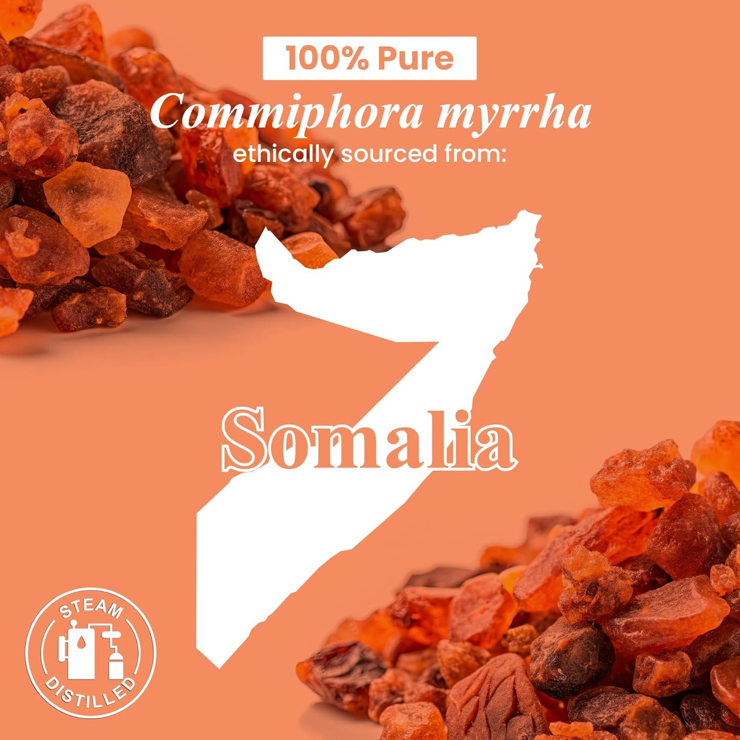 Handcraft Blends Myrrh Essential Oil – 0.33 Fl Oz – 100% Pure and Natural – Premium Grade Essential Oil for Diffuser and Aromatherapy, Skin, Massage, Candle and Soap Making Fragrance