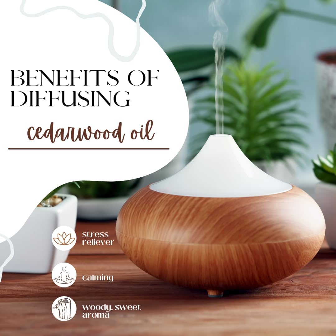 16 fl oz - Cedarwood Himalayan Essential Oil (100% Pure & Uncut), Aluminum Bottle - GreenHealth