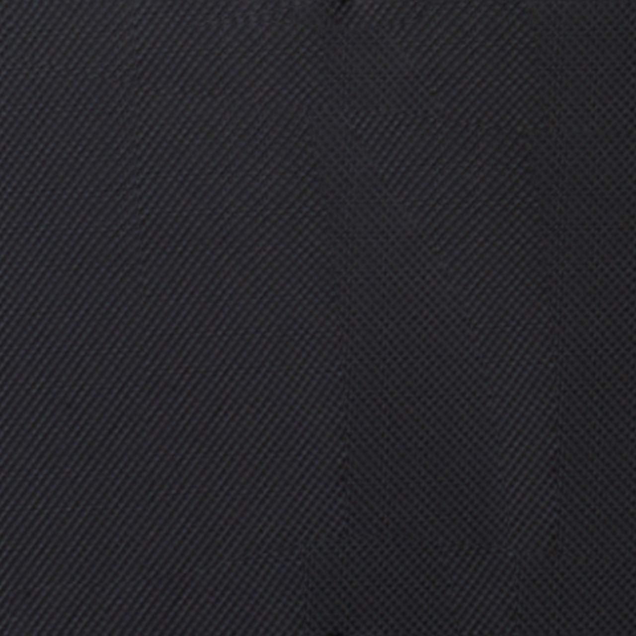 SwissGear Sion Softside Expandable Luggage, Black, 2-Piece Set (21/29)