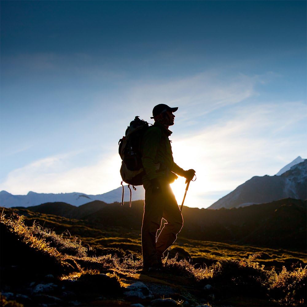 43" Shock-Resistant Adjustable Trekking Pole and Hiking Staff by Crown Sporting Goods