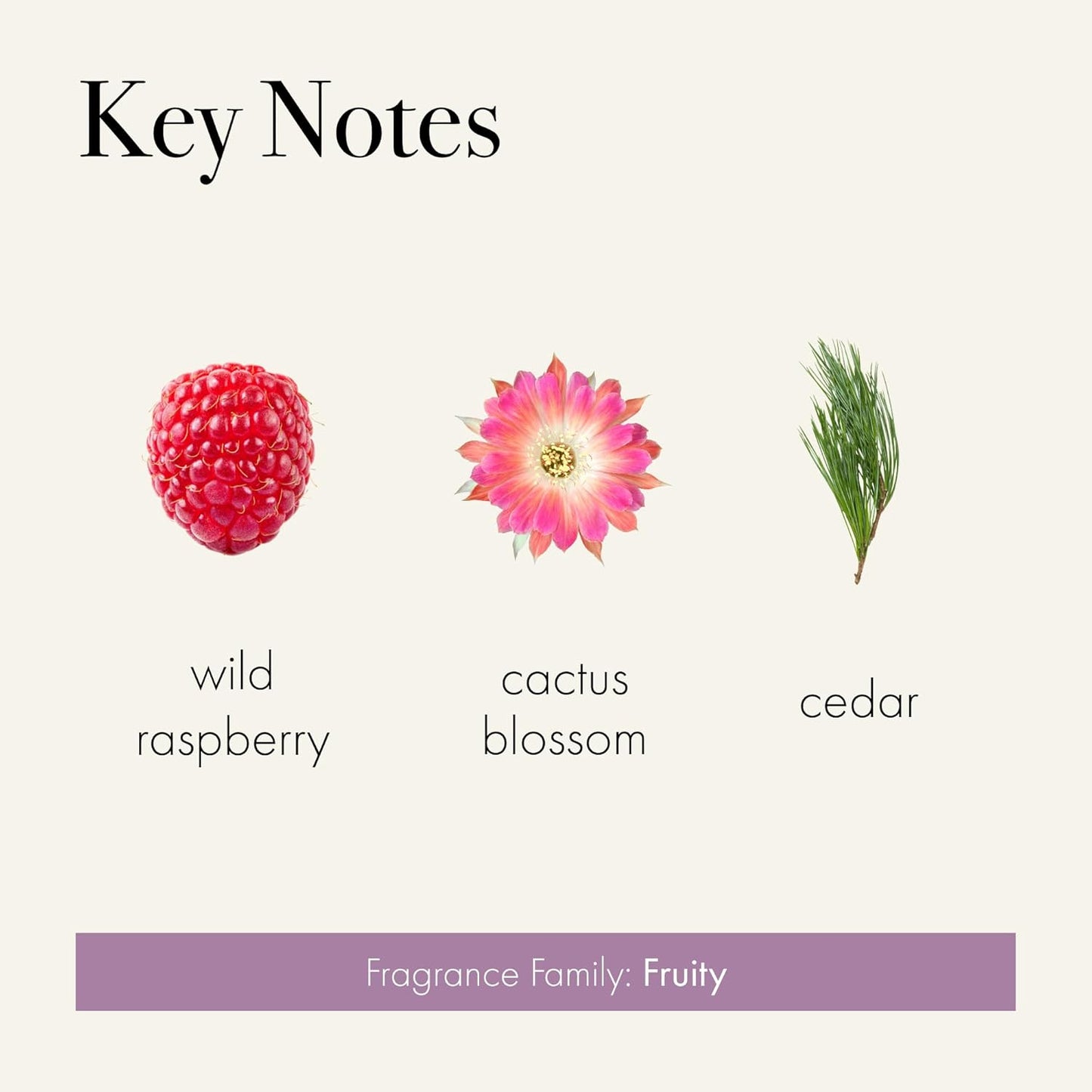 LAFCO New York Classic Reed Diffuser, Midnight Cactus - 6 oz - Up to 3 Months Fragrance Life - Reusable Glass Vessel - Natural Wood Reeds - Made in The USA