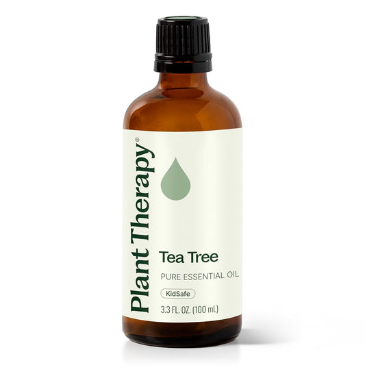 Plant Therapy Tea Tree Essential Oil – 100% Pure, Undiluted, Natural Aromatherapy for Skin, Hair & Home – Therapeutic Grade Melaleuca alternifolia 100 mL (3.3 oz)