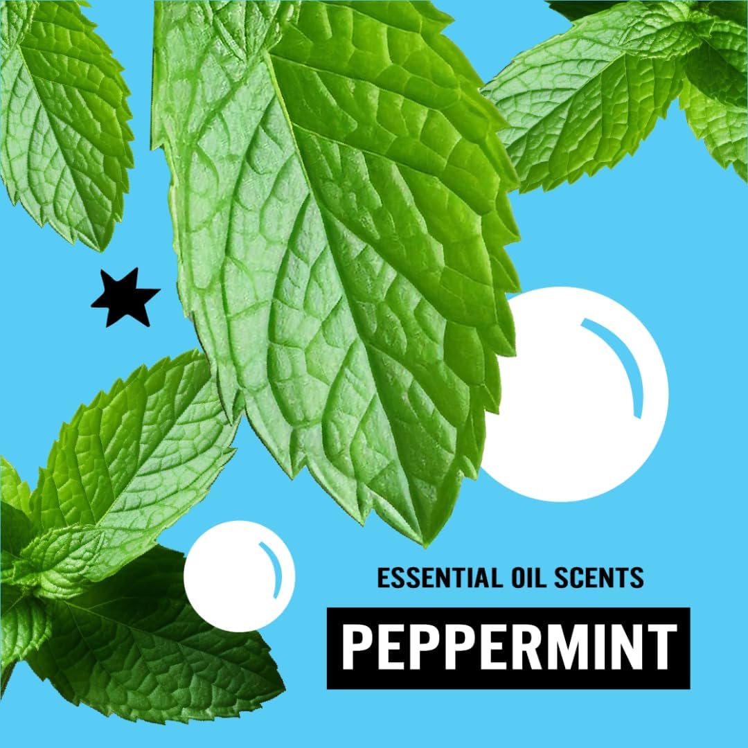 Molly's Suds Original Laundry Detergent Powder | Clean Laundry Detergent Powder for Sensitive Skin | Simple, Effective Ingredients, Stain Fighting | 70 Loads (Peppermint)