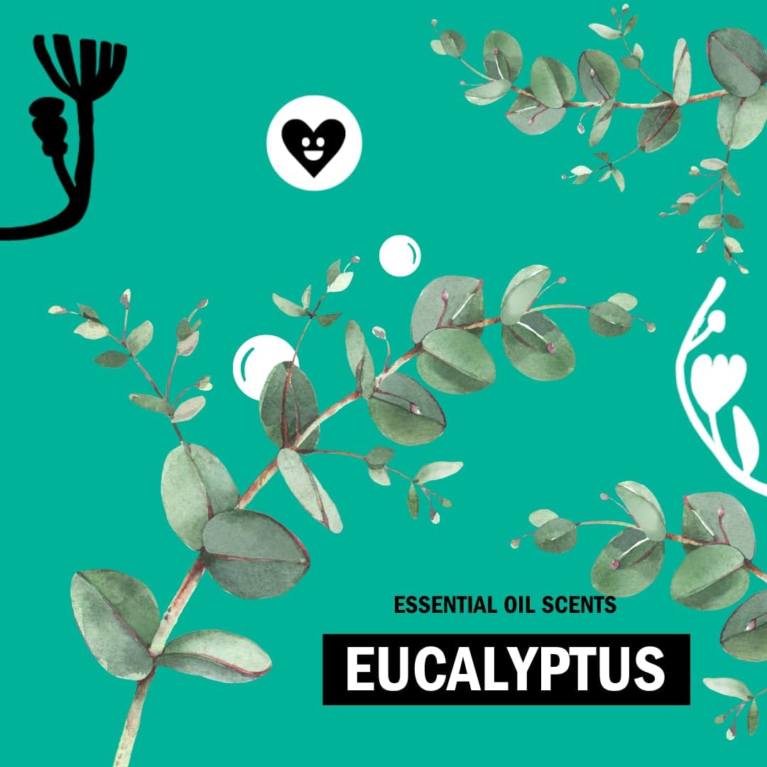 Molly's Suds Original Laundry Detergent Powder | Clean Laundry Detergent Powder for Sensitive Skin | Simple, Effective Ingredients, Stain Fighting | 120 Load (Eucalyptus)