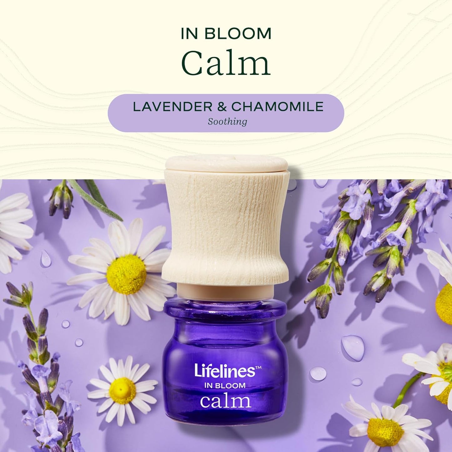 Lifelines Scent-Infused Grounding Stone & Oil Blend Gift Set - Fidgets for Tweens, Teens & Adults with Essential Oil Blend - Stocking Stuffers, White Elephant & Holiday Gifts for Christmas