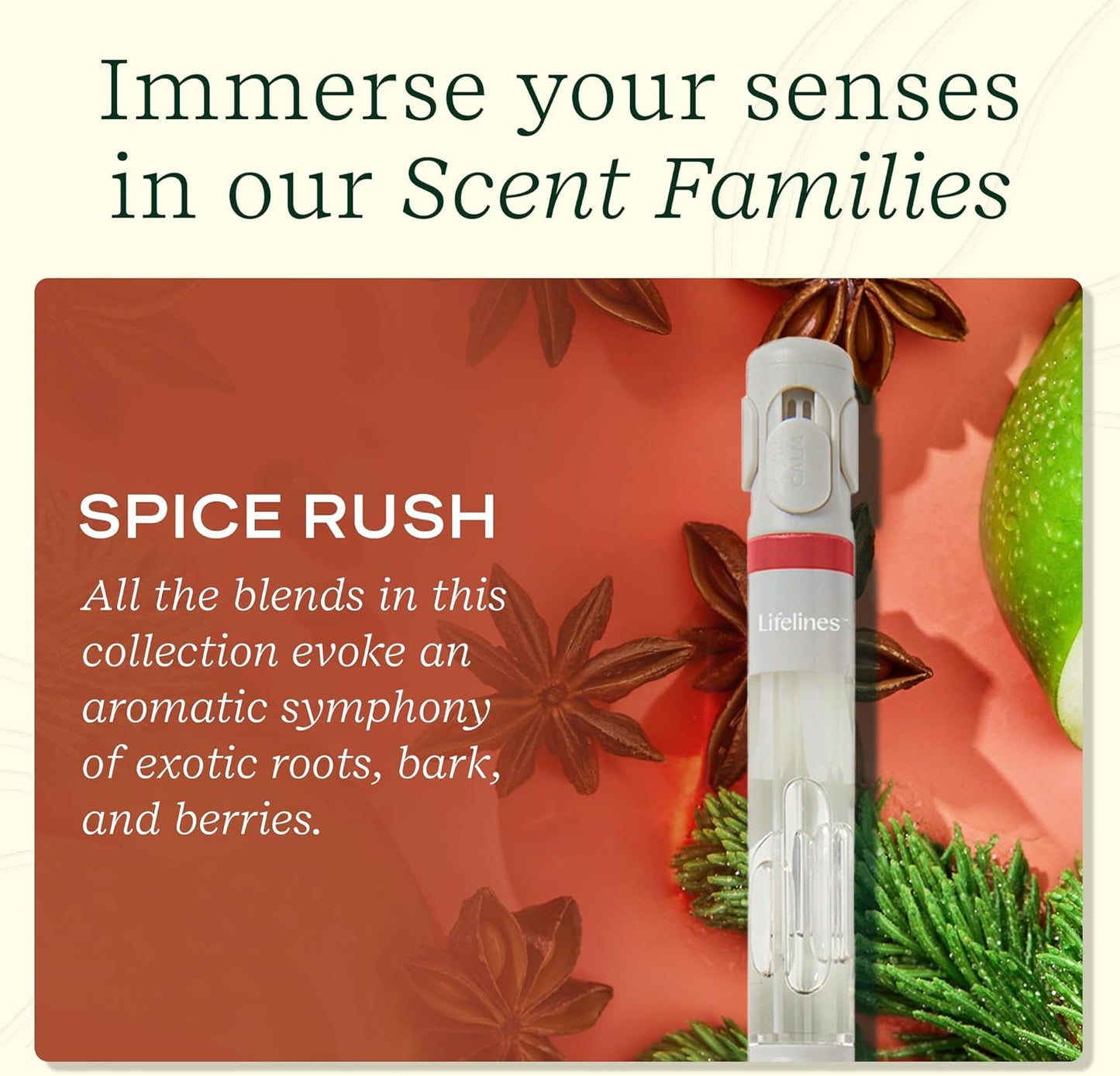 Lifelines Pen Diffuser, Spice Rush - 1mm Black Ballpoint Pen with Scented Essential Oil Blends – Aromatherapy Diffuser & Sensory Immersion Diffuse Aroma As You Write