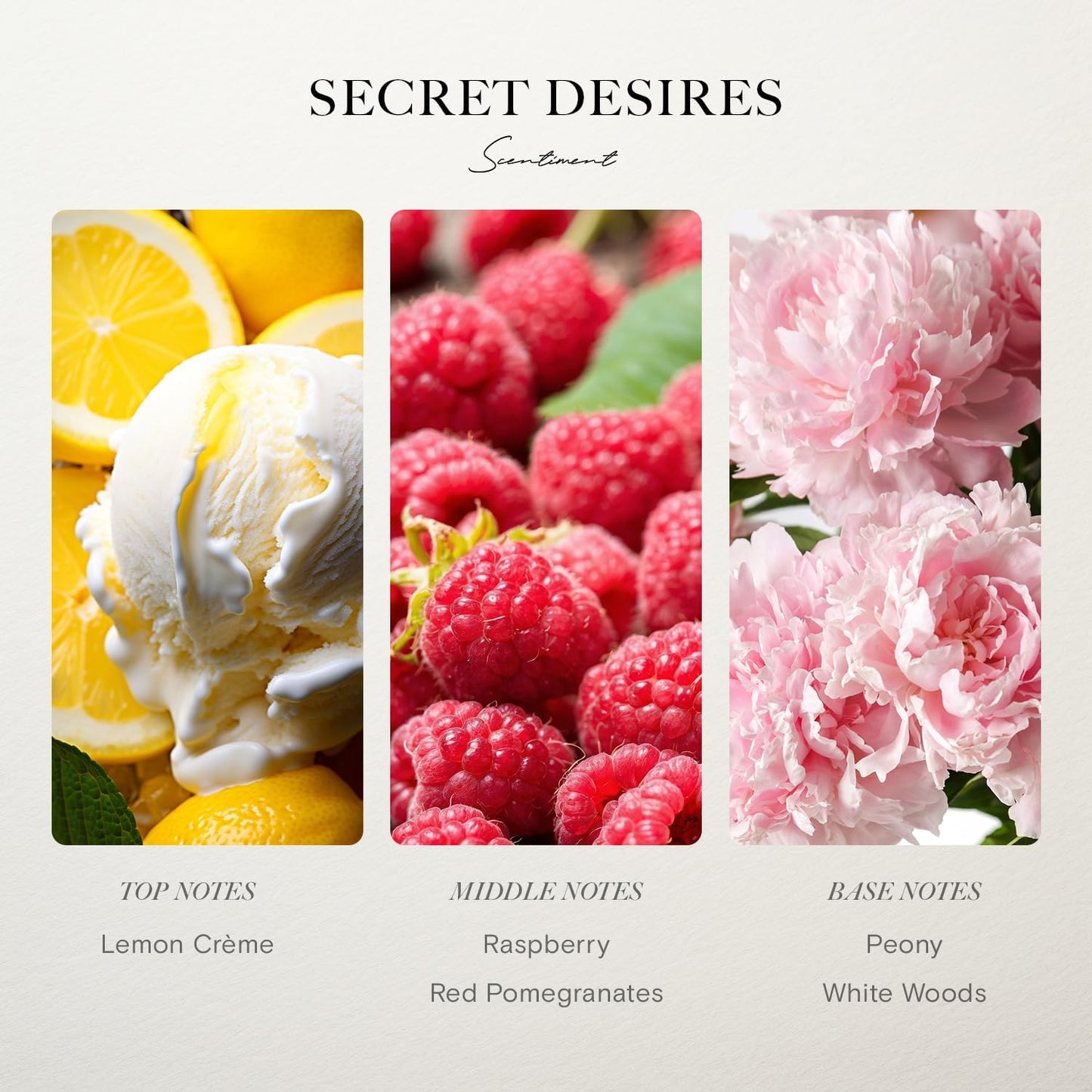 Scentiment Diffuser Oil - Secret Desires | Aromatherapy Fragrance | Inspired by 5-Star Hotels | Notes of Lemon Crème, Vanilla, Raspberry, Pomegranate & Peony (20 mL)