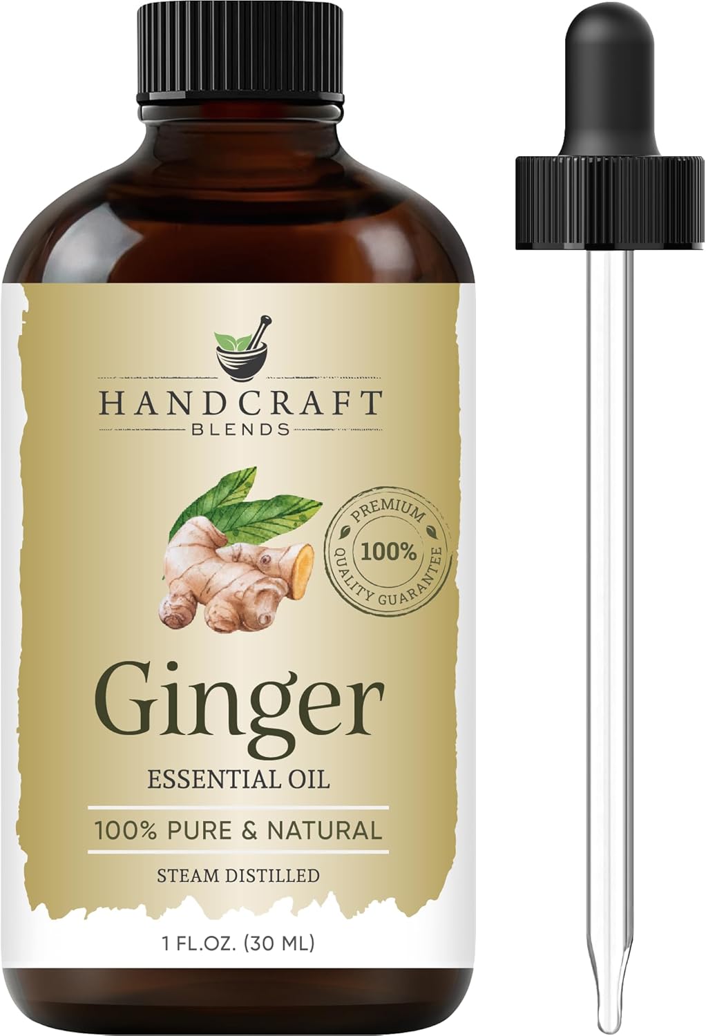 Handcraft Blends Ginger Essential Oil – 1 Fl Oz – 100% Pure and Natural – Premium Grade Essential Oil for Diffuser and Aromatherapy, Skin, Massage, Candle and Soap Making Fragrance