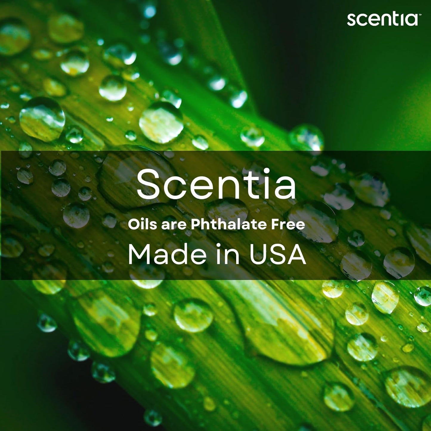 Scentia Hotel Diffuser Oil Inspired by The Nobu Hotel Scent - 500 mL 16.9 fl oz - Essential Oil Blend Jasmine, Lilly, Sandalwood & Fresh Citrus for HVAC Ultrasonic Diffusers - Nobu Essence