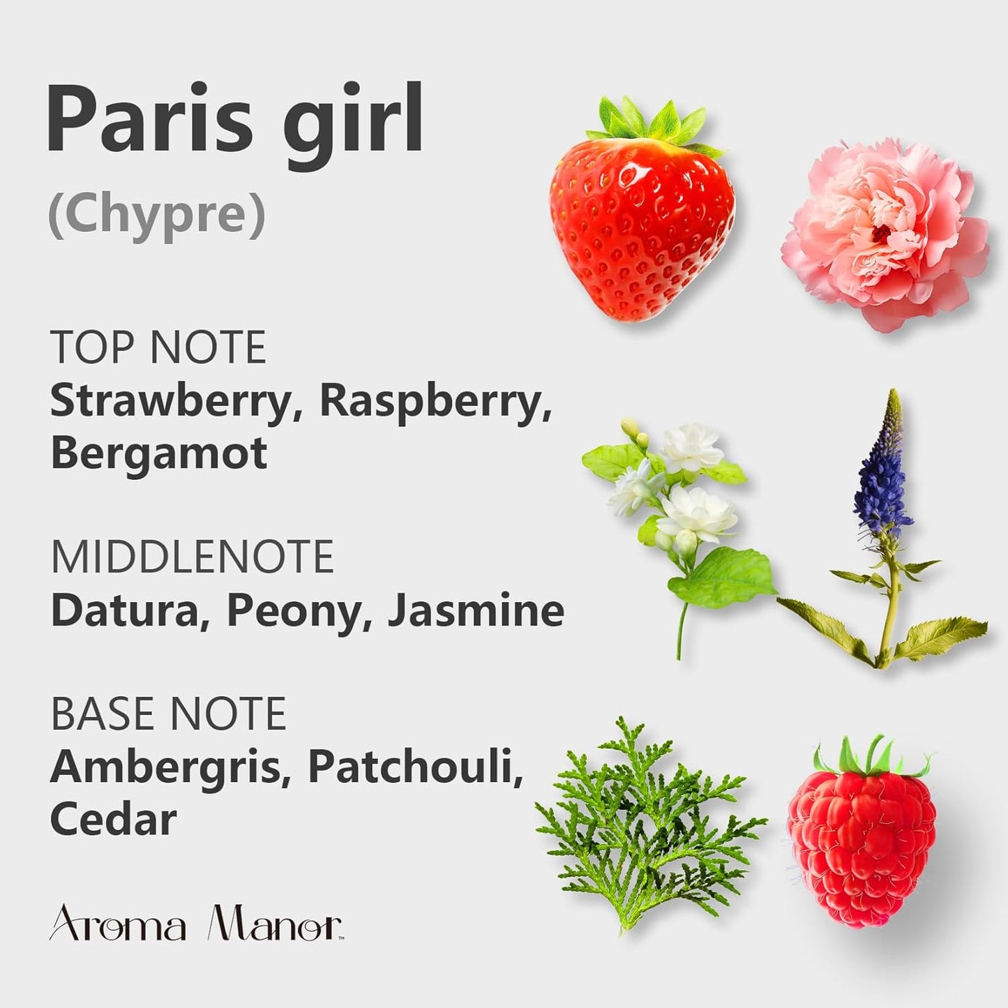 Hotel Scent Diffuser Oil - Paris Girl - Aroma Essential Oil Blends for Aromatherapy Diffuser Machine, Cedarwood, Elevate Large Room with Air Fresheners - 5.3fl oz