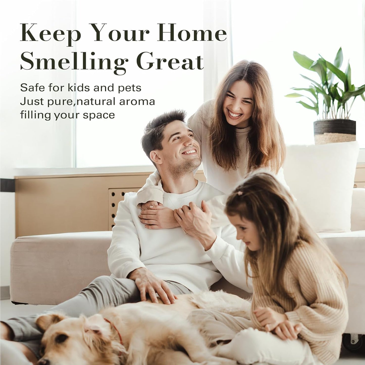 JCLOUD 2025 Plug in Diffuser for Essential Oils, Waterless Scent Diffuser Cover Up to 500 Sq. Ft. for Home, Office, Spa - Portable Wall Aromatherapy Device 160ML, Black