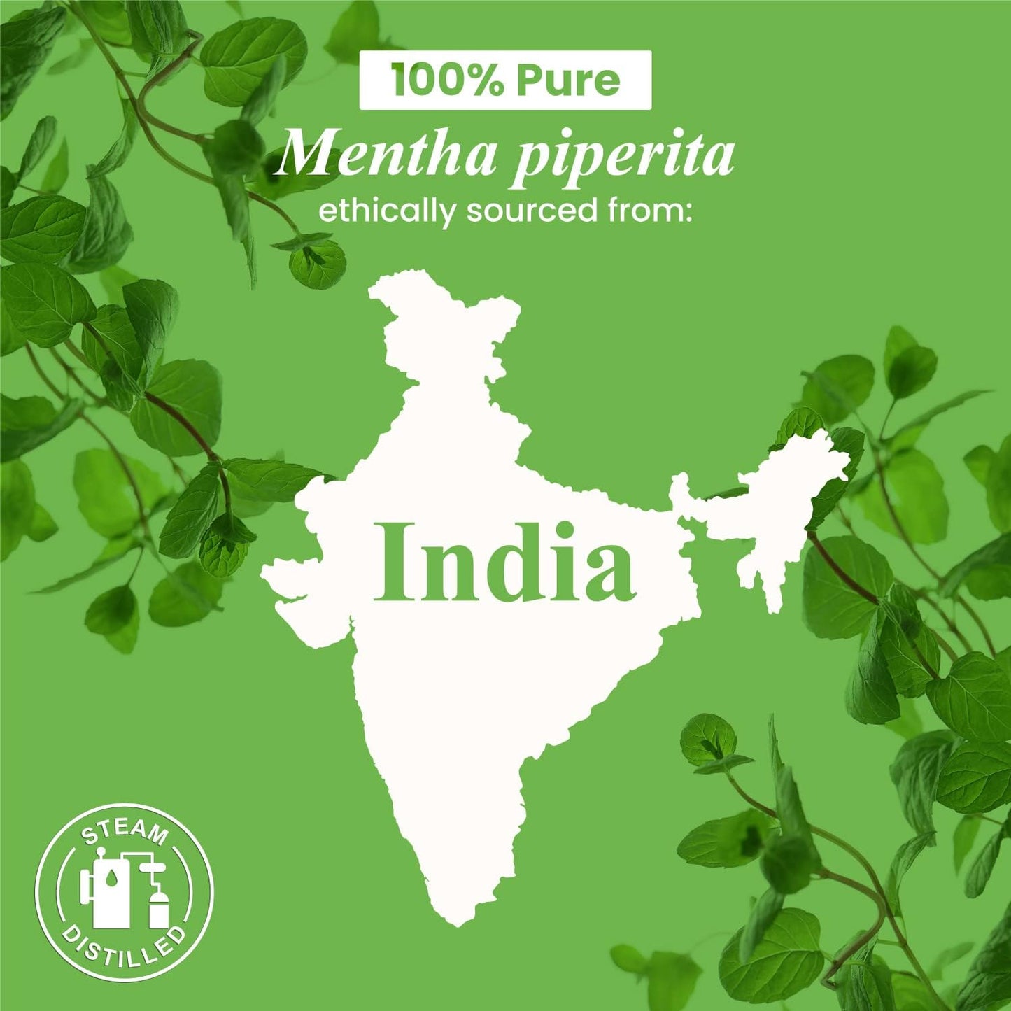 Handcraft Blends Peppermint Essential Oil – 0.33 Fl Oz – 100% Pure and Natural – Premium Grade Essential Oil for Diffuser and Aromatherapy, Skin, Massage, Candle and Soap Making Fragrance