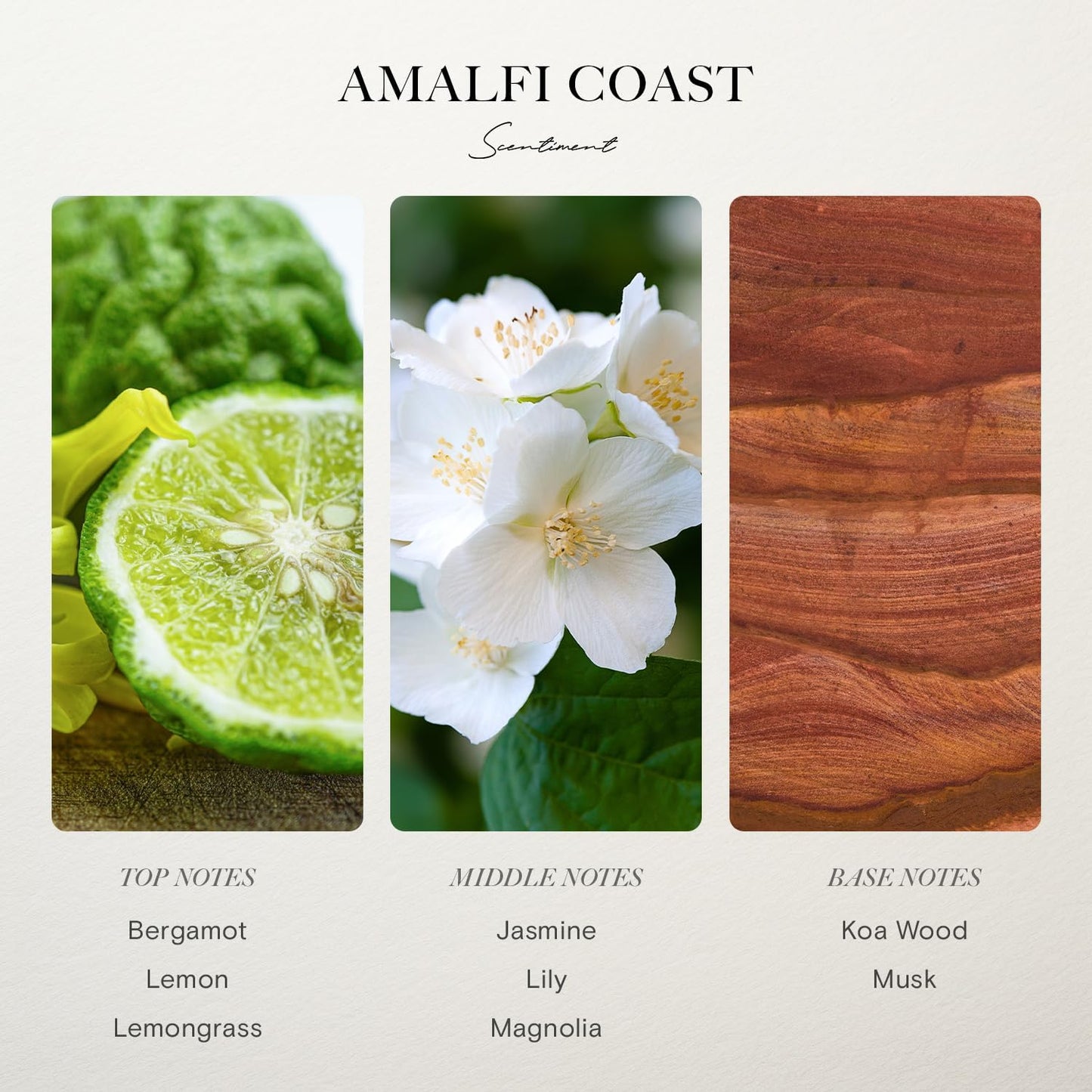 Scentiment Diffuser Oil - Amalfi Coast | Aromatherapy Fragrance | Inspired by Luxury Five Star Hotels | Notes of Bergamot, Lemongrass, Jasmine, Lily, Magnolia & Koa Wood (500 mL)