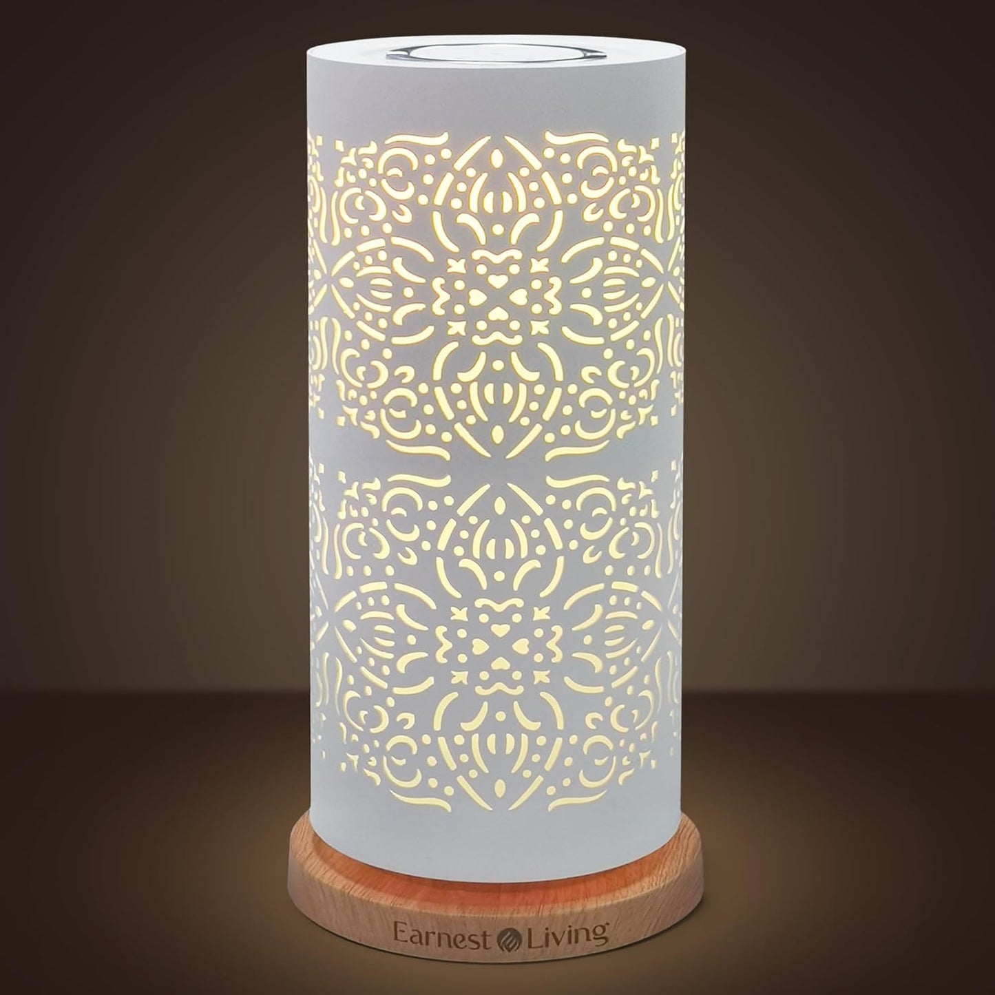 Earnest Living Waterless Diffuser 100ml Nebulizing Diffusion System for Studio Home Office Hotel Spa