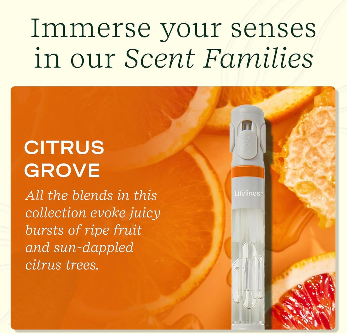 Lifelines Pen Diffuser, Citrus Grove - 1mm Black Ballpoint Pen with Scented Essential Oil Blends – Aromatherapy Diffuser & Sensory Immersion Diffuse Aroma As You Write