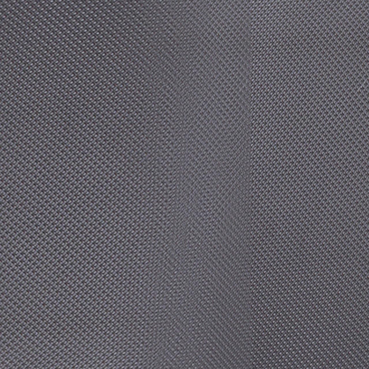 SwissGear Sion Softside Expandable Luggage with Spinner Wheels, Dark Grey, 2-Piece Set (21/25)