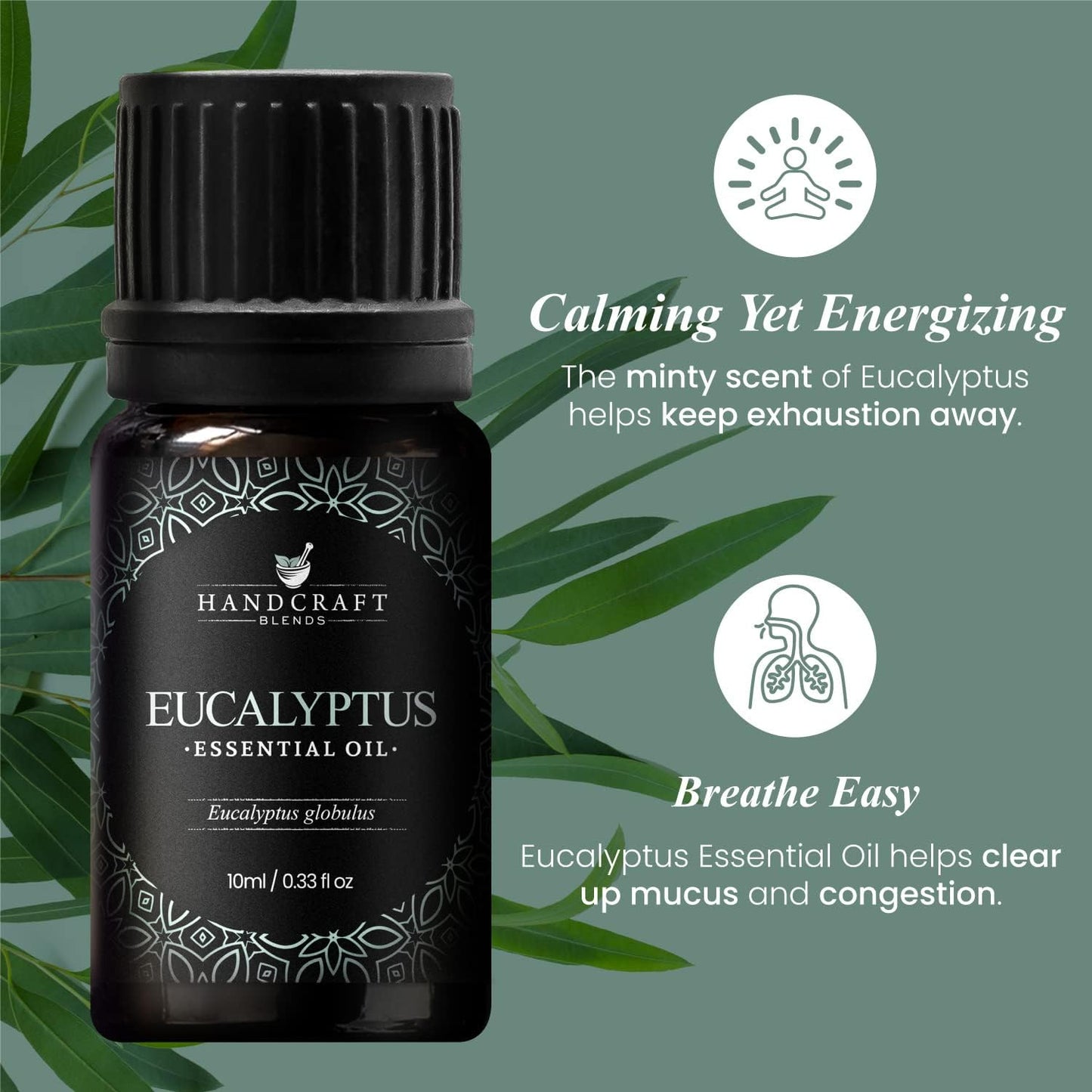 Handcraft Blends Eucalyptus Essential Oil – 0.33 Fl Oz – 100% Pure and Natural – Premium Grade Essential Oil for Diffuser and Aromatherapy, Skin, Massage, Candle and Soap Making Fragrance