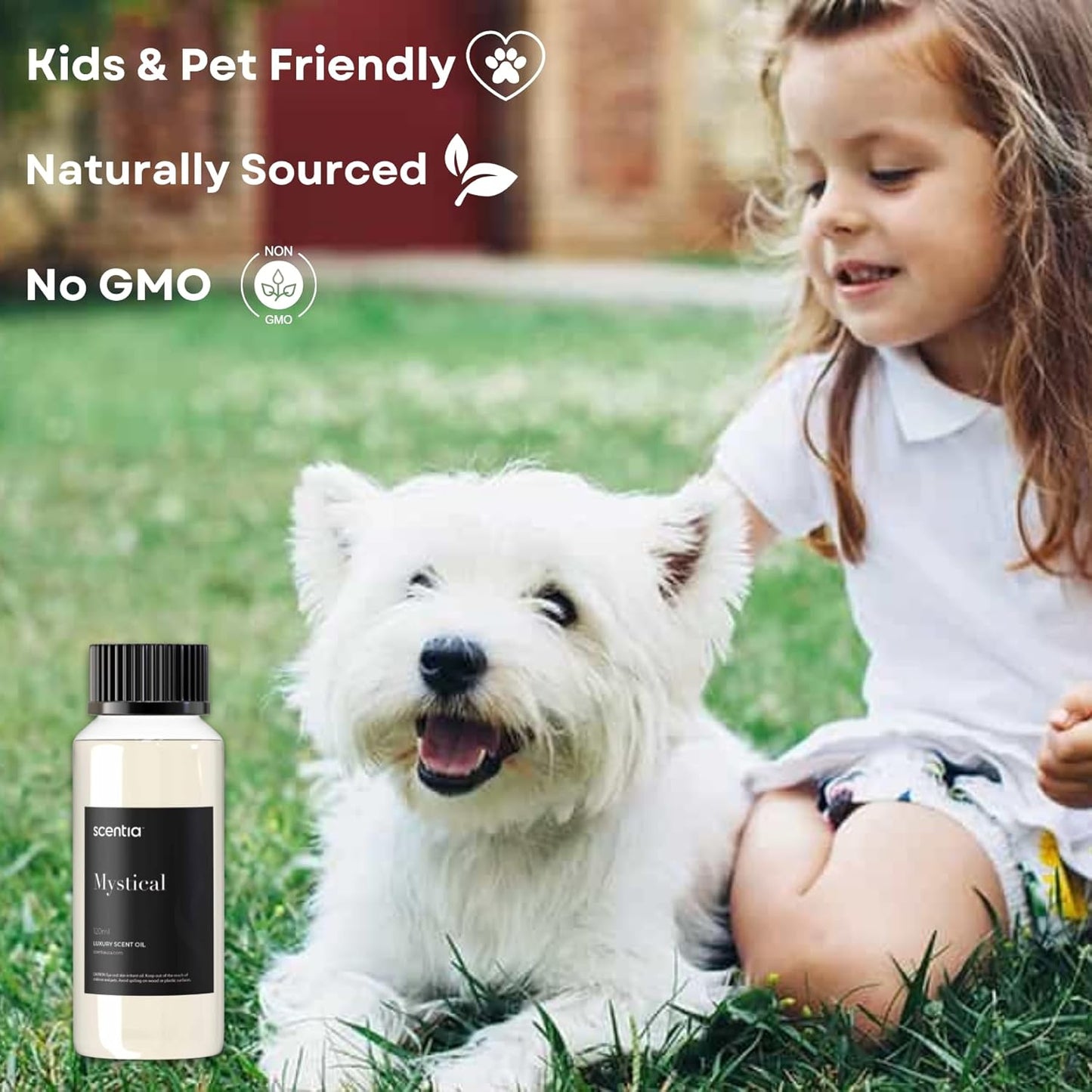 Scentia Hotel Diffuser Oil Inspired by The Wynn, Las Vegas Hotel - 120 mL 4.06 fl oz - Essential Oil Blend Melon, Raspberry, Jasmine & Lemon for Aromatherapy Diffusers - Mystical, Thanksgiving Gift