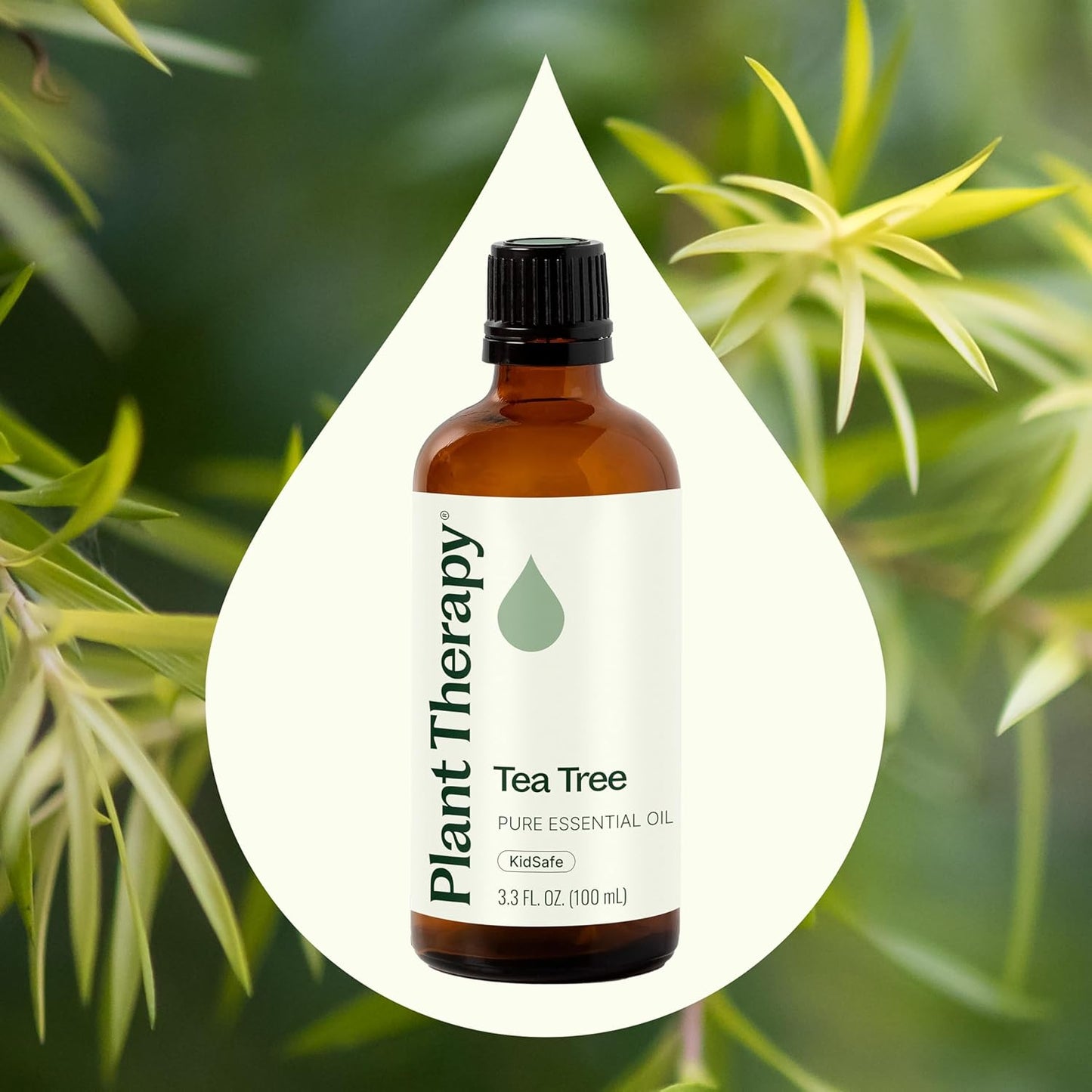 Plant Therapy Tea Tree Essential Oil – 100% Pure, Undiluted, Natural Aromatherapy for Skin, Hair & Home – Therapeutic Grade Melaleuca alternifolia 100 mL (3.3 oz)