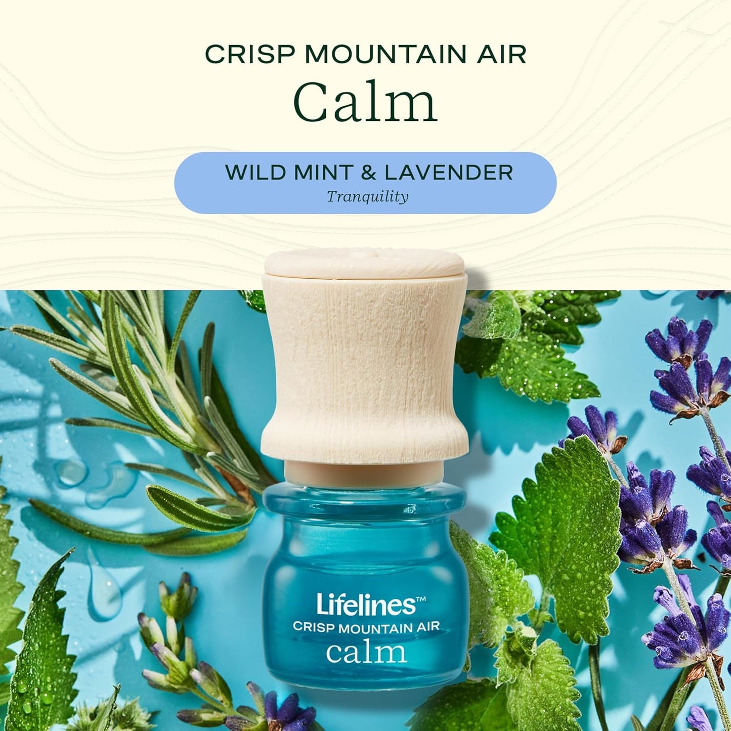 Lifelines Scent-Infused Grounding Stones, 2-Pack, Gravity Pack - Portable Fidgets for Adults with Essential Oil Blend & Diffusion Stones for Sensory Immersion - Calming Waterless Passive Diffuser