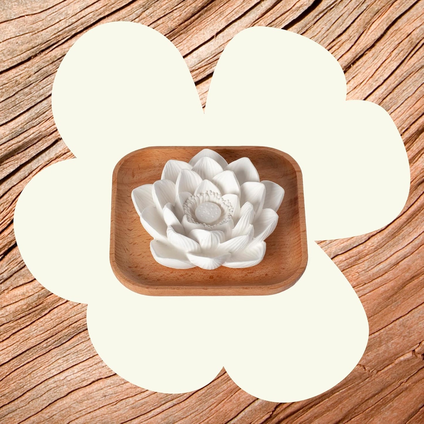 Plant Therapy Passive Lotus Flower Aromatherapy Diffuser - A Chic and Natural Home, Office, and Travel Essential Oil Diffuser