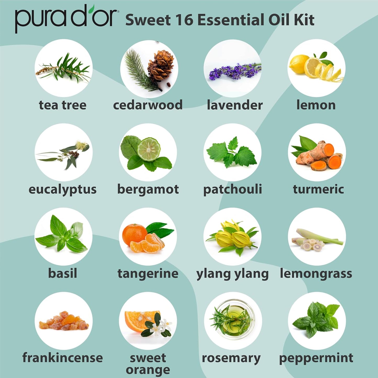 PURA D'OR Organic Sweet16 Essential Oils Set - 16x 10mL Wood Box Aromatherapy Gift Set - 100% Pure Therapeutic Grade for Relaxation and Wellness (Lavender, Rosemary, Turmeric, Ylang Ylang & More)