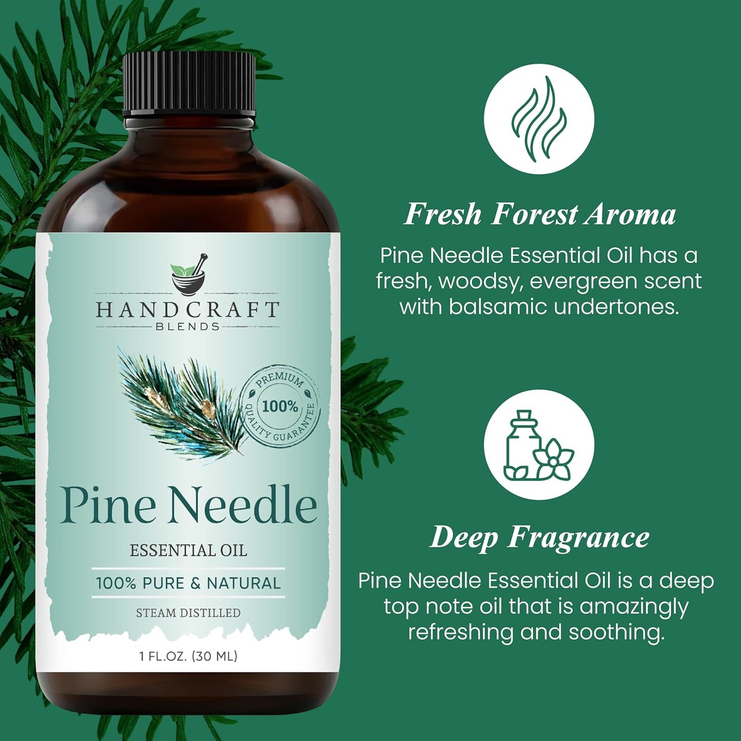 Handcraft Blends Pine Essential Oil – 1 Fl Oz – 100% Pure and Natural – Premium Grade Essential Oil for Diffuser and Aromatherapy, Skin, Massage, Candle and Soap Making Fragrance