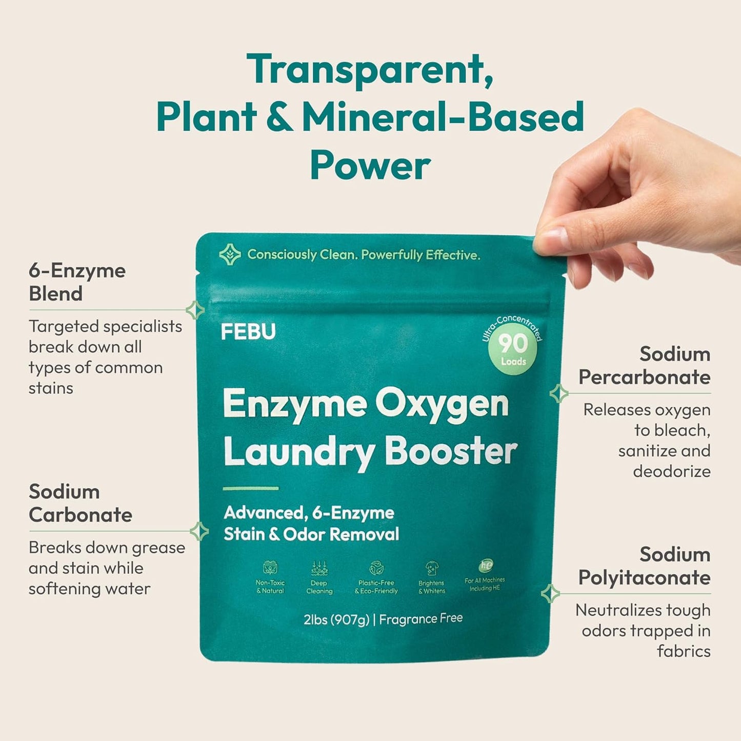 FEBU Enzyme Oxygen Laundry Booster, Odor Eliminator & Stain Remover | Advanced 6-Enzyme Formula for Sweat, Pet & Musty Odors | Plant-Based, Safe, Plastic-Free Powder, USA-Made | Fragrance Free, 2lbs