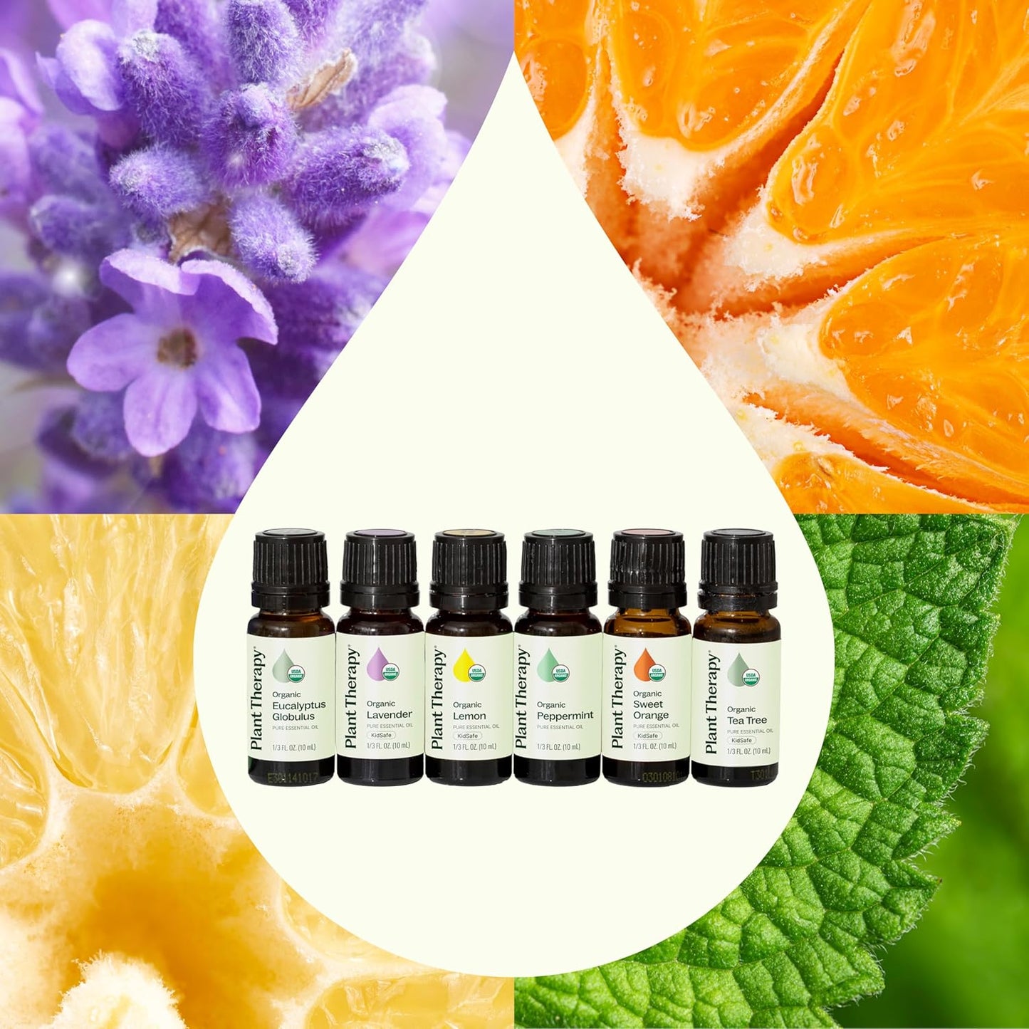 Plant Therapy Top 6 USDA Organic Essential Oil Set - Lavender, Peppermint, Eucalyptus, Lemon, Tea Tree 100% Pure, Natural Aromatherapy, for Diffusion & Topical Use, Therapeutic Grade 10 mL (1/3 oz)